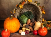 pumpkin g9f9c984c6 200