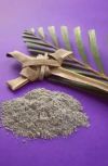 pb2023 04